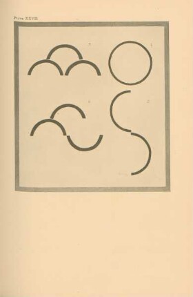 Plate XXVII