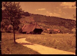 Der Vogtsbauernhof