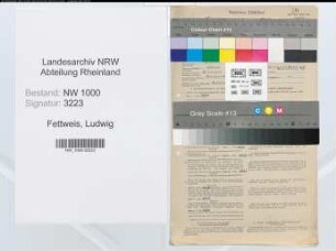 Entnazifizierung Ludwig Fettweis, geb. 26.07.1884 (Angest.)