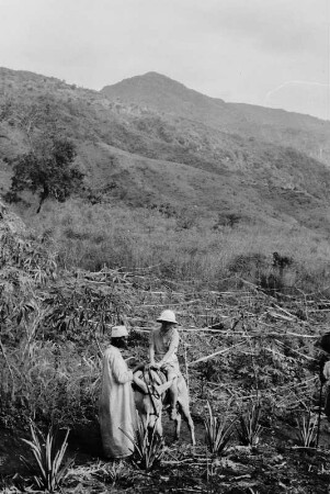 Missionare : Männer der Mission Diemhof auf einem Feld in den Bergen