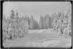 Keilberg (Klínovec). Winterlandschaft