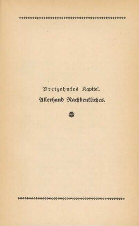 Dreizehntes Kapitel. Allerhand Nachdenkliches