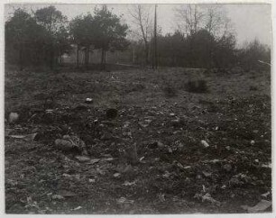 Ohne Titel (Vermüllte Landschaft am Westend)