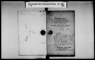 Beschwerden von Grundbesitzern wegen Hüttenrauchschäden, Band 2