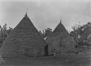 Hütten des Oberhaupts Mangi Meli : Blick auf Hütten des Oberhaupts Mangi Meli in der Chagga-Siedlung Marangu