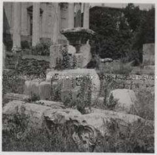 Rom, Forum Romanum, Fragmente beim Tempel des Romulus