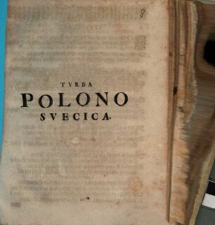 Tvrba Polono Svecica