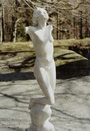 Weiblicher Torso