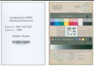 Entnazifizierung Robert Giesler , geb. 07.10.1878 (Hotelier)