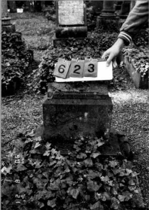 Grabstein 623