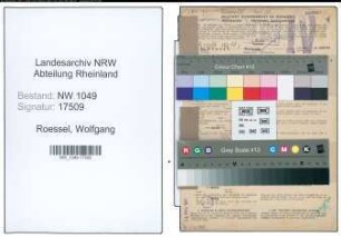 Entnazifizierung Wolfgang Roessel , geb. 30.04.1911 (Arzt)