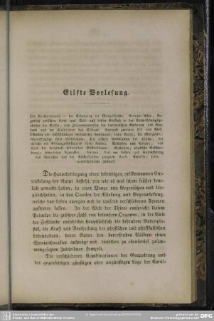 Eilfte Vorlesung