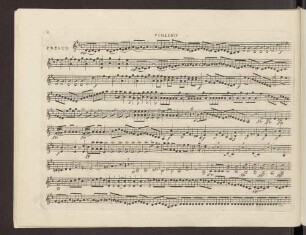 Violino