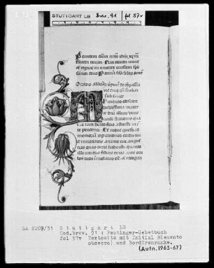Gebetbuch des Konrad Peutinger — Initiale M(emento obsecro) mit anschließender Blumenranke, Folio 57verso