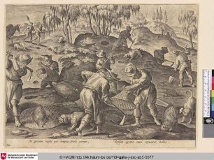 [Stachelschweinjagd; Porcupine hunt]