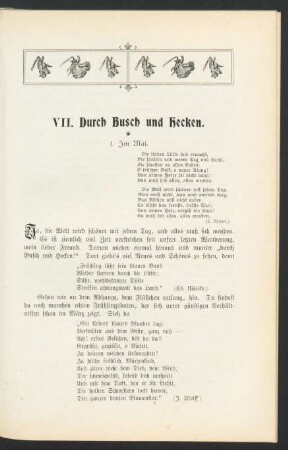 VII. Durch Busch und Hecken.