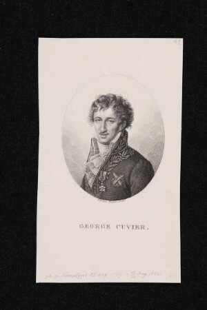 Bildnis des George Cuvier