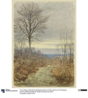 Herbstliche Waldlandschaft an der See