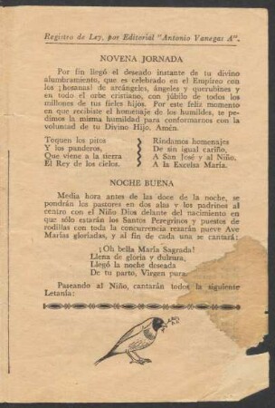 Novena jornada