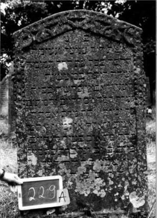 Grabstein 229 [Nir S. 140 Nr. 14.07]: Grabstein 229A [Nir S. 140 Nr. 14.07]