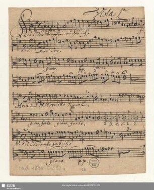 Viola 1[m]a