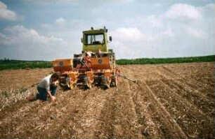 Fotografie: Säverfahren, Einzelkornsaat, Mais, Mulchsaat, Reihendüngung, Zwischenfrucht, Streifenfräse