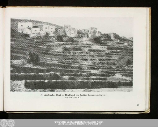 49. Arabisches Dorf im Hochland von Judäa