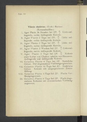 Tab. 50 Vibrio cholerae