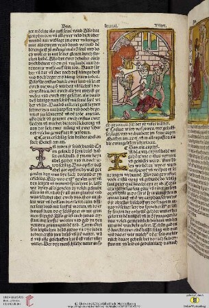 Das xix. capitel wye er ward verspiewe.