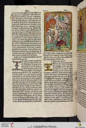 Das xix. capitel wye er ward verspiewe.