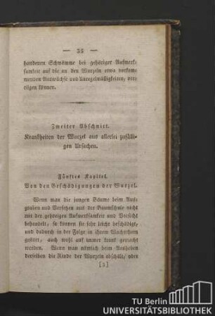Zweiter Abschnitt. Krankheiten der Wurzel aus allerlei zufälligen Ursachen.