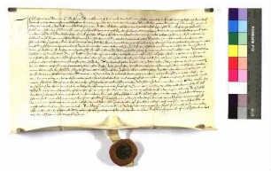 Kaspar von Wernau zu Bach belehnt den Peter Dreitlin zu Grimmelfingen mit einer Erbsölde.