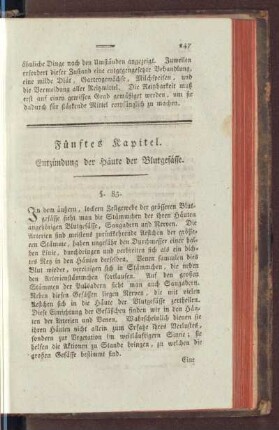 Fünftes Kapitel. Entzündung der Häute der Blutgefässe