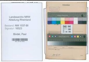Entnazifizierung Paul Bindel , geb. 07.01.1894 (Kunstmaler)