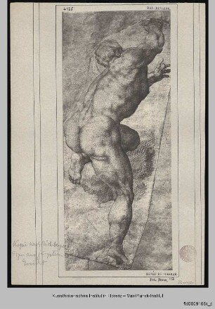 Figurenstudie nach Michelangelo (nach oben greifender, männlicher Rückenakt)