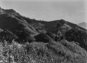 Die Uluguru-Berge : Siedlung in den Uluguru-Bergen. Im Bildvordergrund eine Maisanpflanzung
