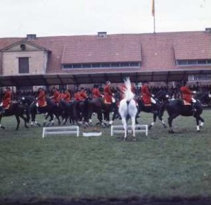 Celle, Spörckenstraße 10. Niedersächsisches Landgestüt. Hengstparade. Quadrille mit schwarzen und weißen Hengsten