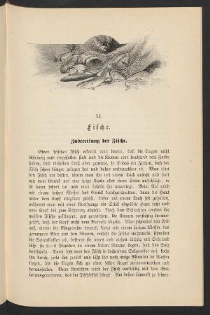 XI. Fische
