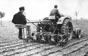 Fotografie: Hackmaschine, Zuckerrübe, Heckanbau