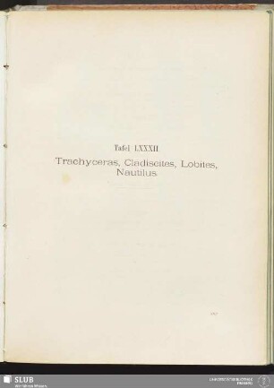 Tafel LXXXII. Trachyceras, Cladiscites, Lobites, Nautilus
