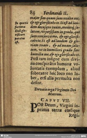 Devotio erga Virginem Dei Matrem. Caput. VII.
