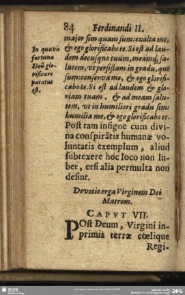 Devotio erga Virginem Dei Matrem. Caput. VII.