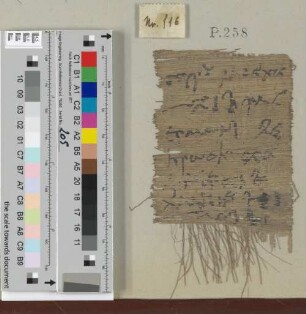 Fragment eines Zenon-Papyrus