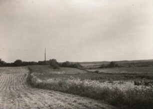 Moränenlandschaft zwischen Großziethen und Kleinziethen (rechts: Söll)
