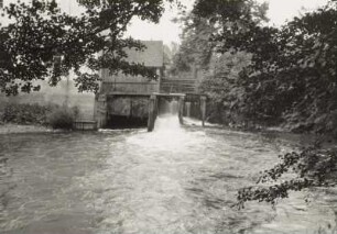 Radmeritz (Radomierzyce), Mühle an der Wittig