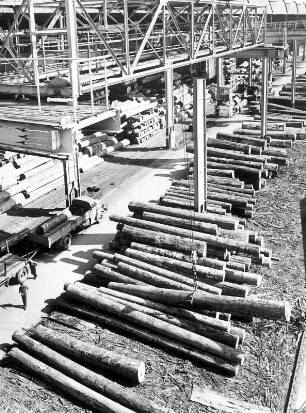 Hamburg. Lagerplatz der Fa. Holzmüller im Freihafen