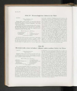 Abb. 119 Hämorrhagisches Adenom der Niere