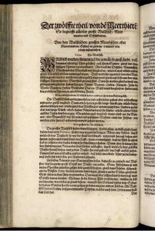 Der zwölffte theil von de Meertheire. So begreifft allerley grosse Wallfisch, Meerwunder und Schiltkrotten.