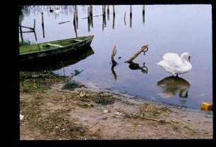 Havel b. Werder 6.6.79.