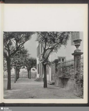 Eine von Linden bedachte Terrasse